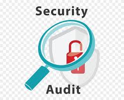 IT Security & Audit Consultancy